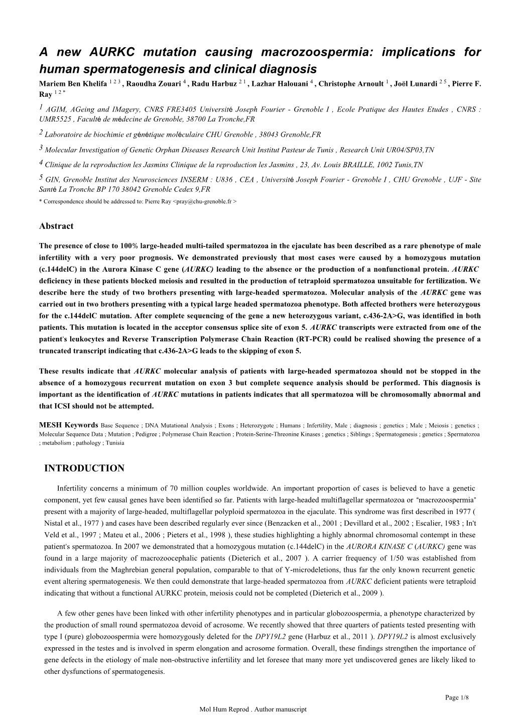 A New AURKC Mutation Causing Macrozoospermia