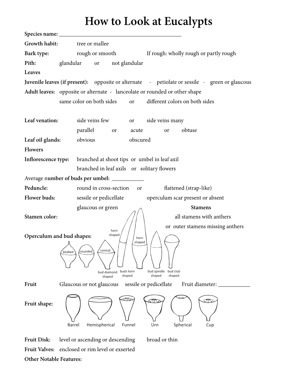 How to Look at Eucalypts