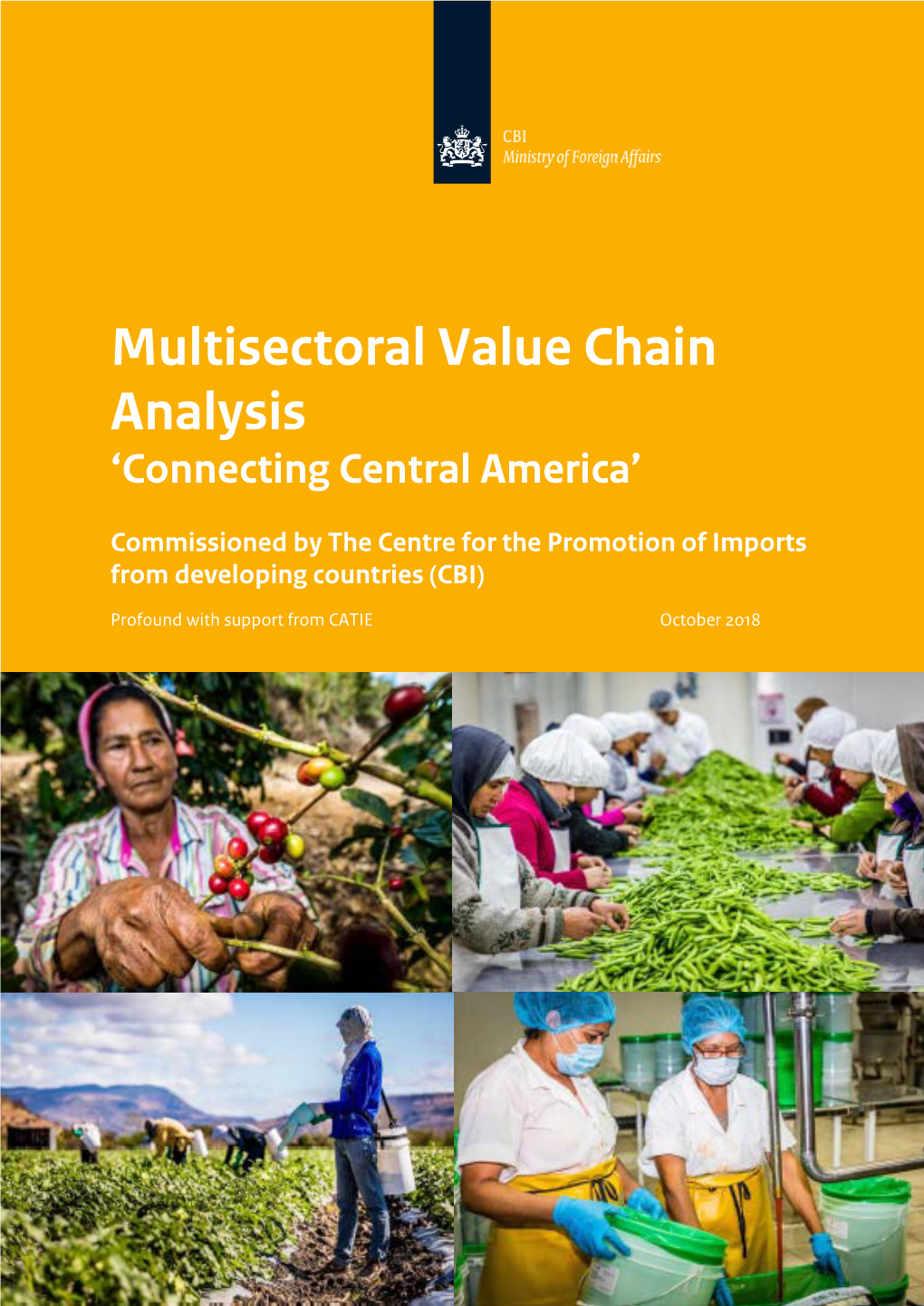 Multisectoral Value Chain Analysis 'Connecting Central America'