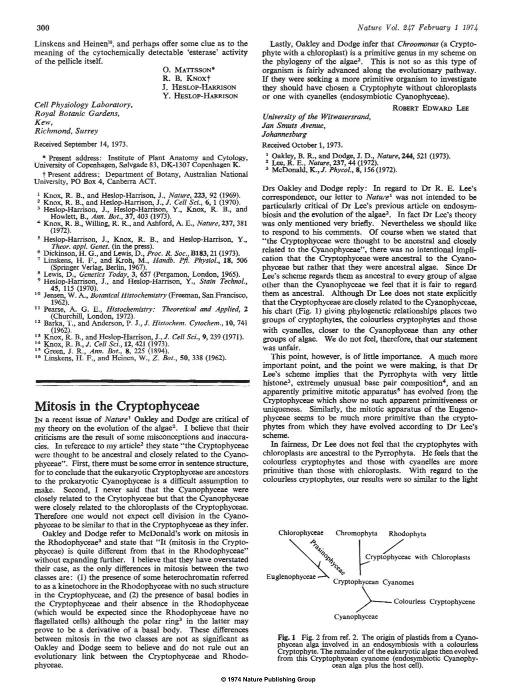 Mitosis in the Cryptophyceae 