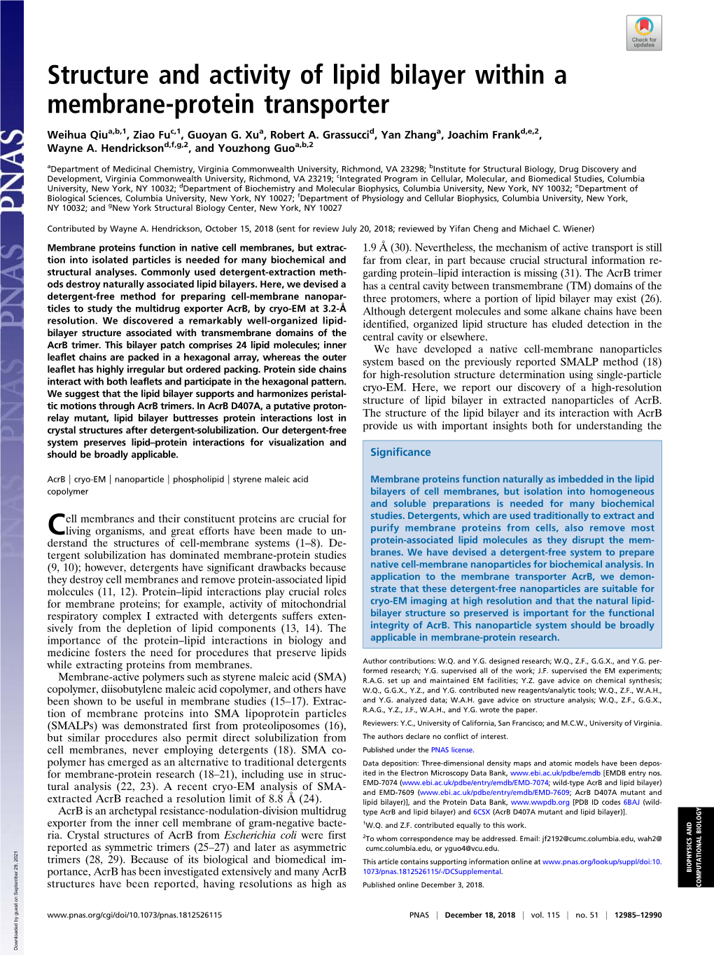 Structure and Activity of Lipid Bilayer Within a Membrane-Protein Transporter