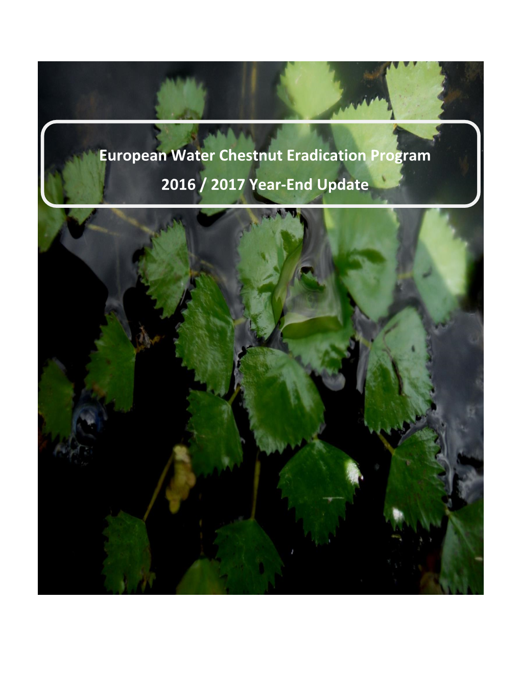 European Water Chestnut Eradication Program 2016 / 2017 Year-End Update
