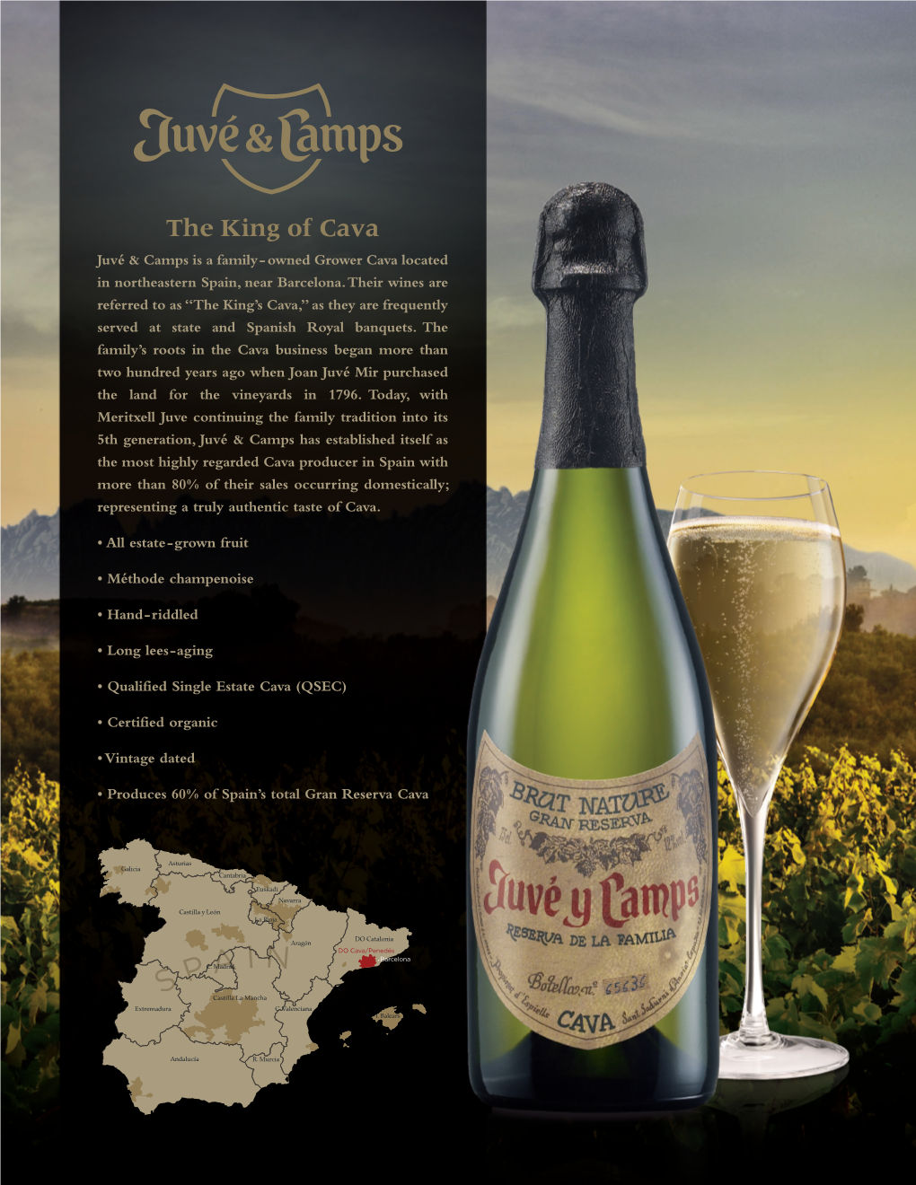 The King of Cava Juvé & Camps Is a Family- Owned Grower Cava Located in Northeastern Spain, Near Barcelona