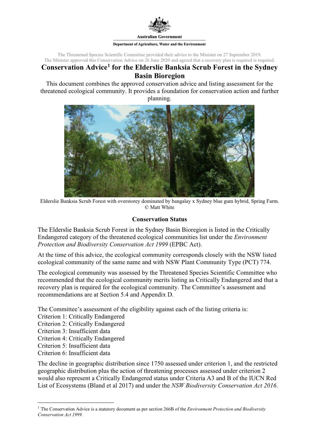 Conservation Advice for the Elderslie Banksia Scrub Forest in the Sydney
