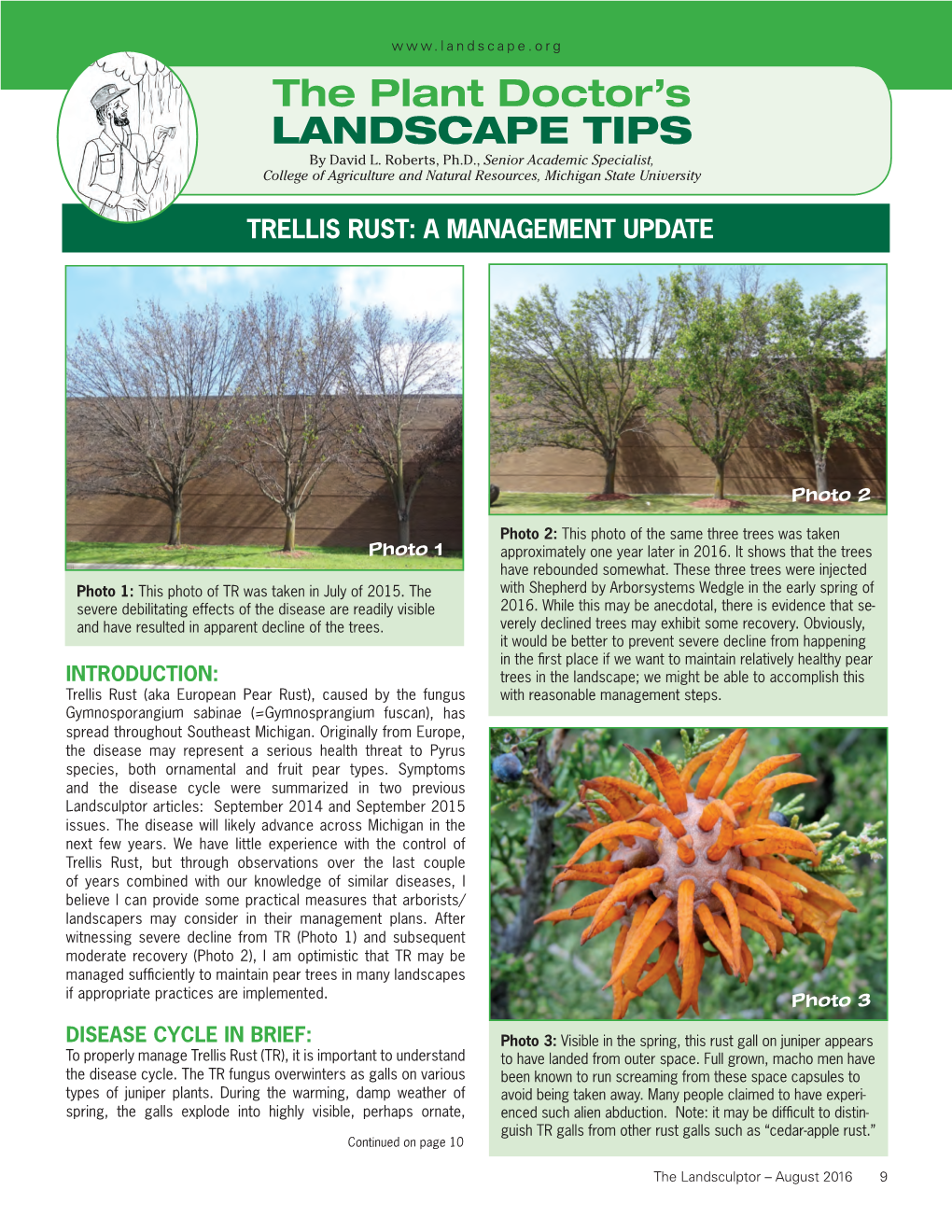 Pear Tree Trellis Rust.Pdf