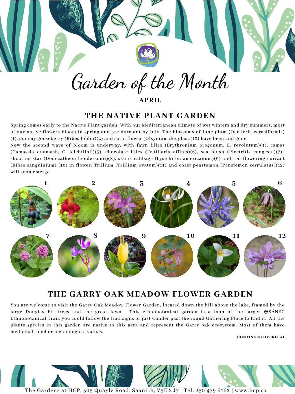 Garden of the Month APRIL the NATIVE PLANT GARDEN Spring Comes Early to the Native Plant Garden