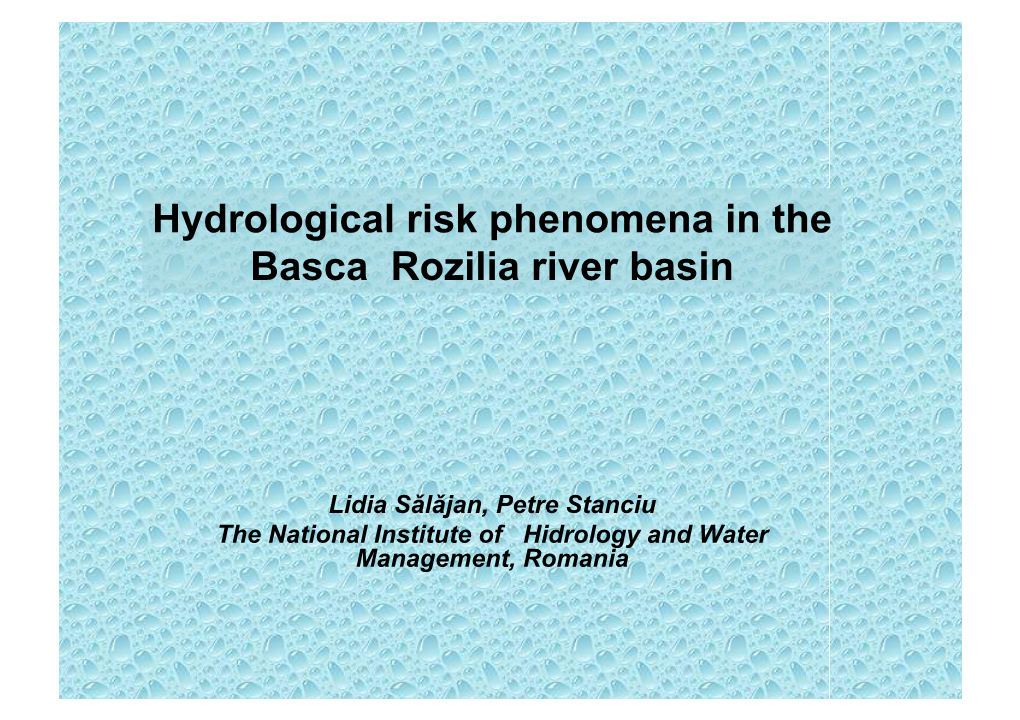 Hydrological Risk Phenomena in the Basca Rozilia River Basin