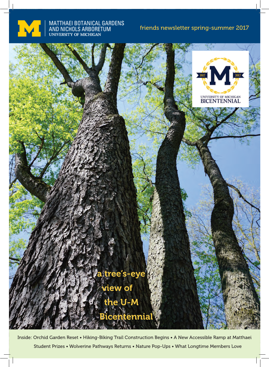 A Tree's-Eye View of the U-M Bicentennial