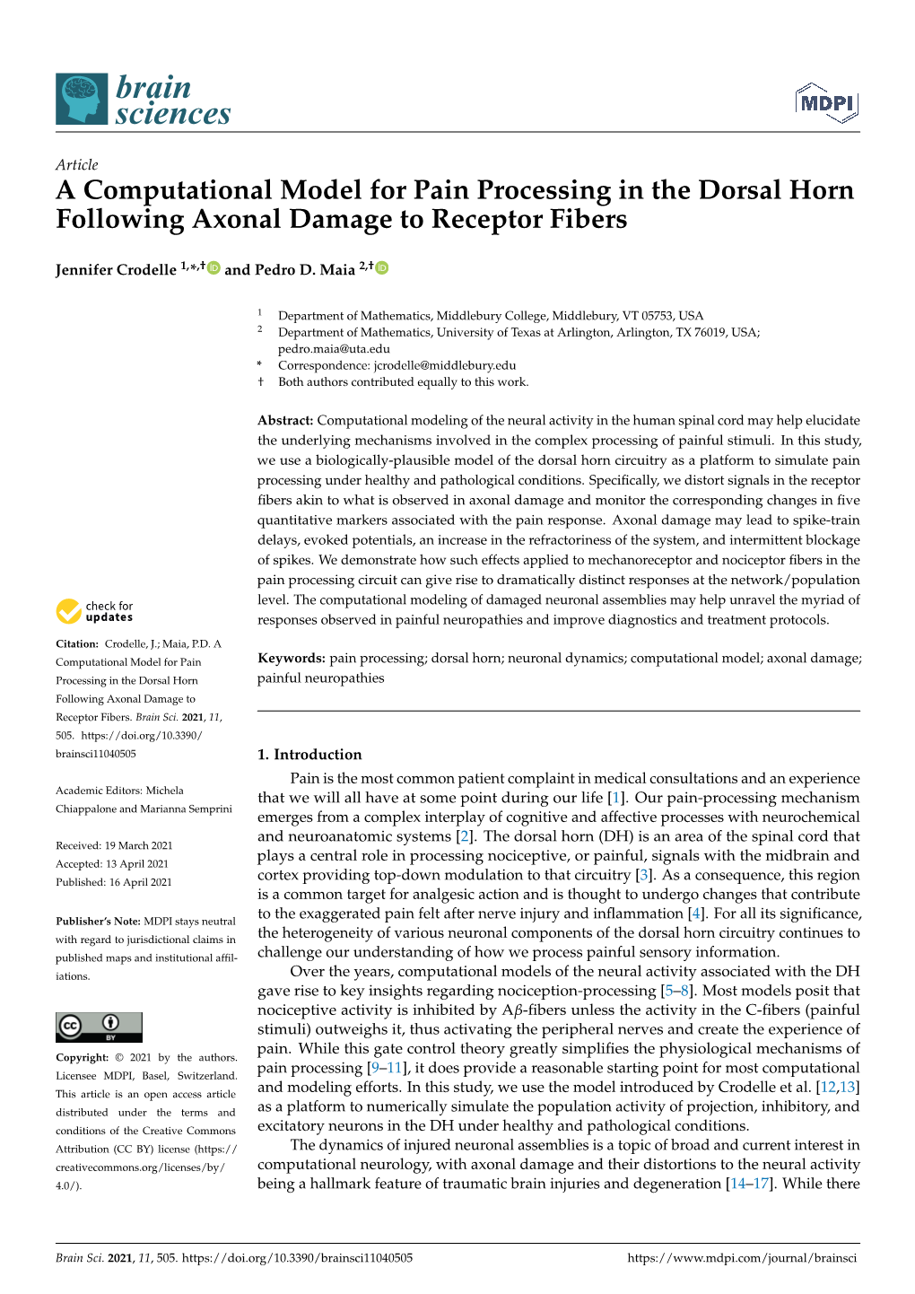 A Computational Model for Pain Processing in the Dorsal Horn Following Axonal Damage to Receptor Fibers