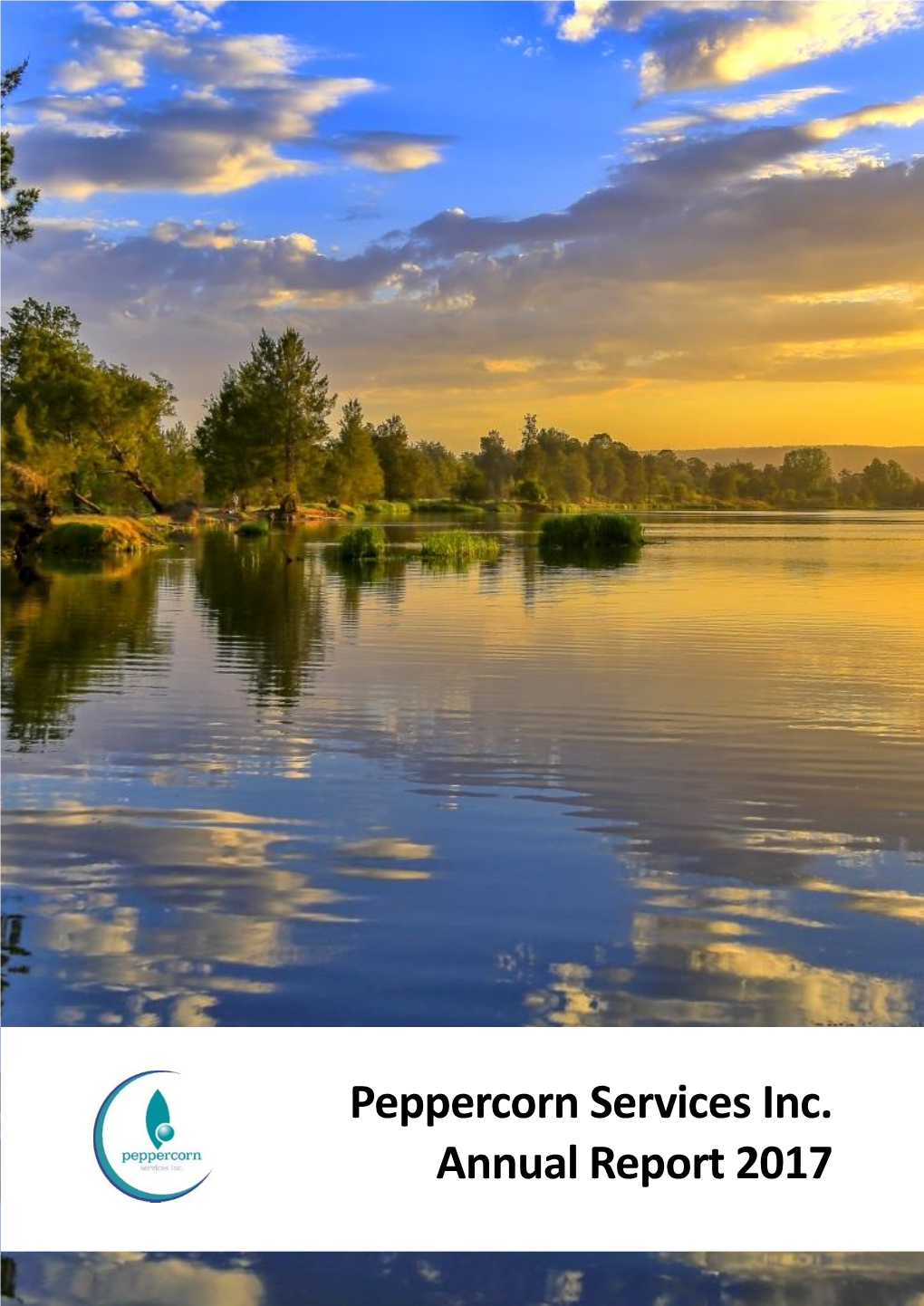 Peppercorn Services Inc. Annual Report 2017