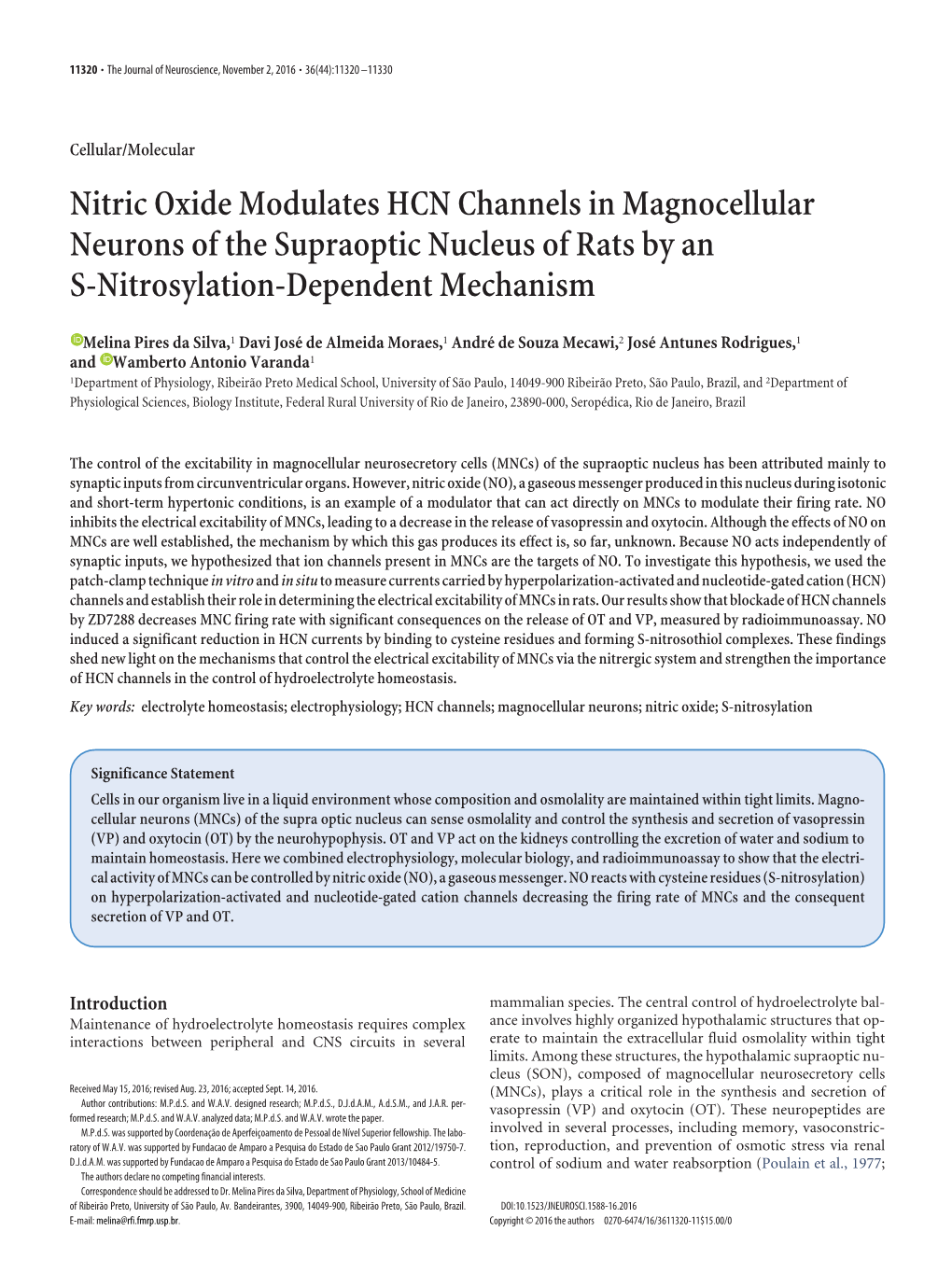 Nitric Oxide Modulates HCN Channels in Magnocellular Neurons of the Supraoptic Nucleus of Rats by an S-Nitrosylation-Dependent Mechanism