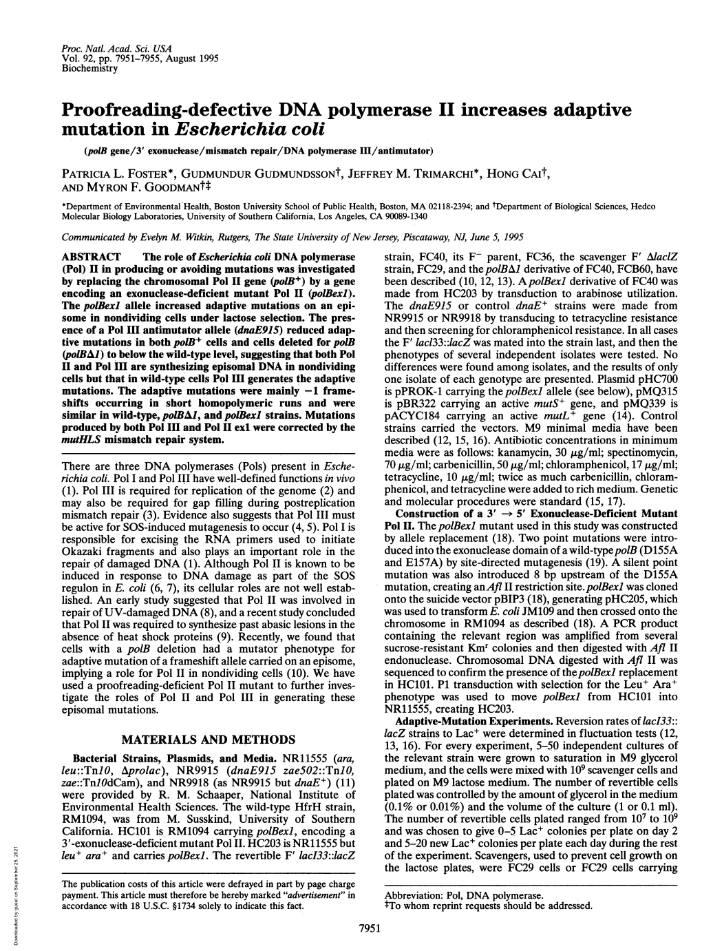 Proofreading-Defective DNA Polymerase II Increases Adaptive