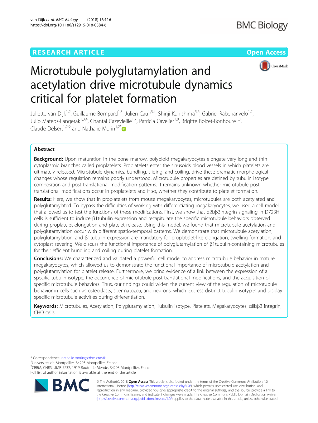 Microtubule Polyglutamylation and Acetylation Drive Microtubule