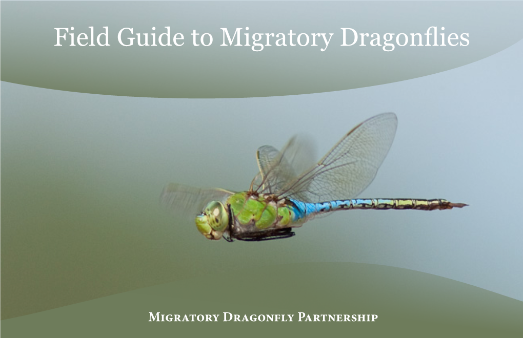 Field Guide to Migratory Dragonflies