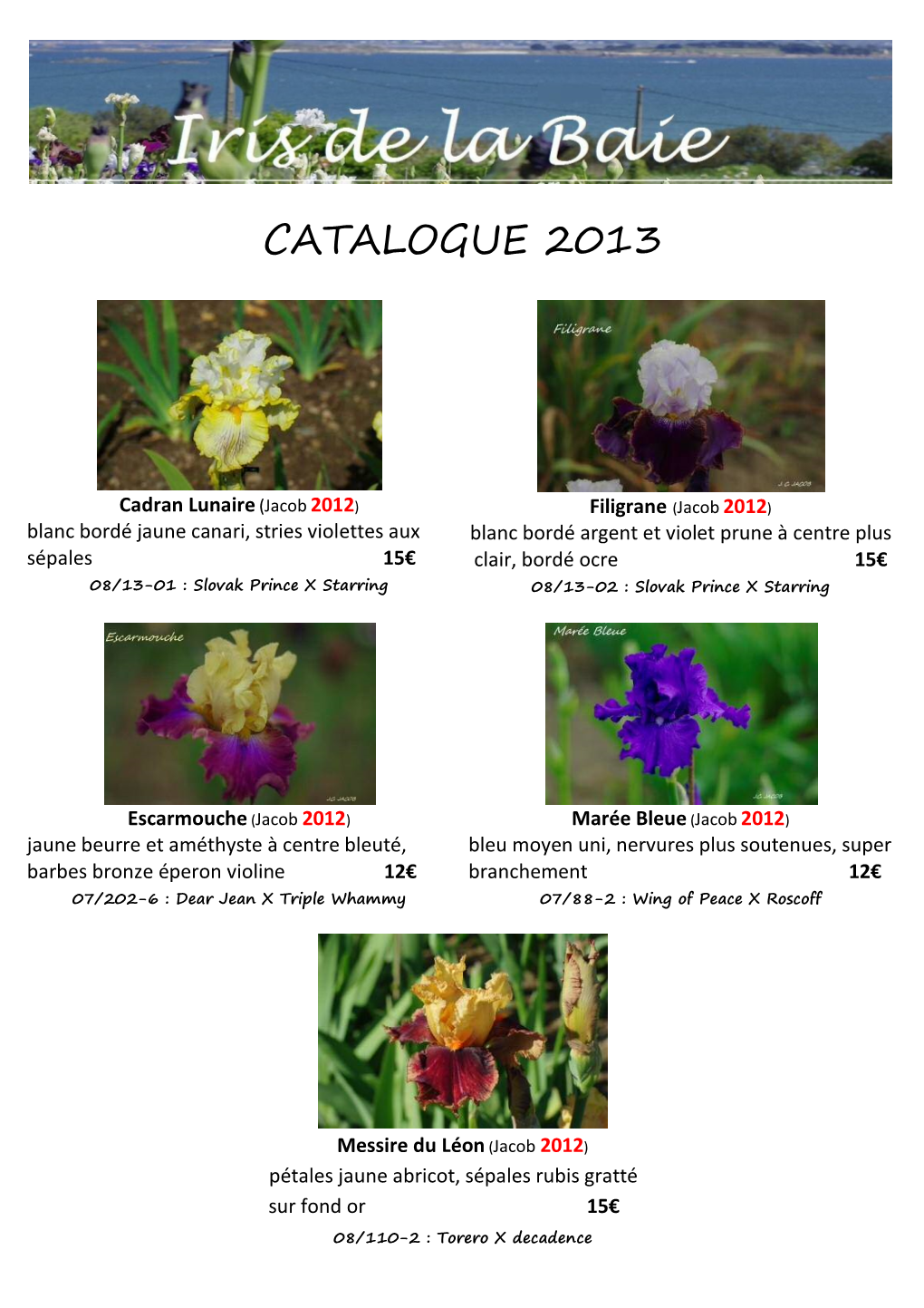 Catalogue 2013