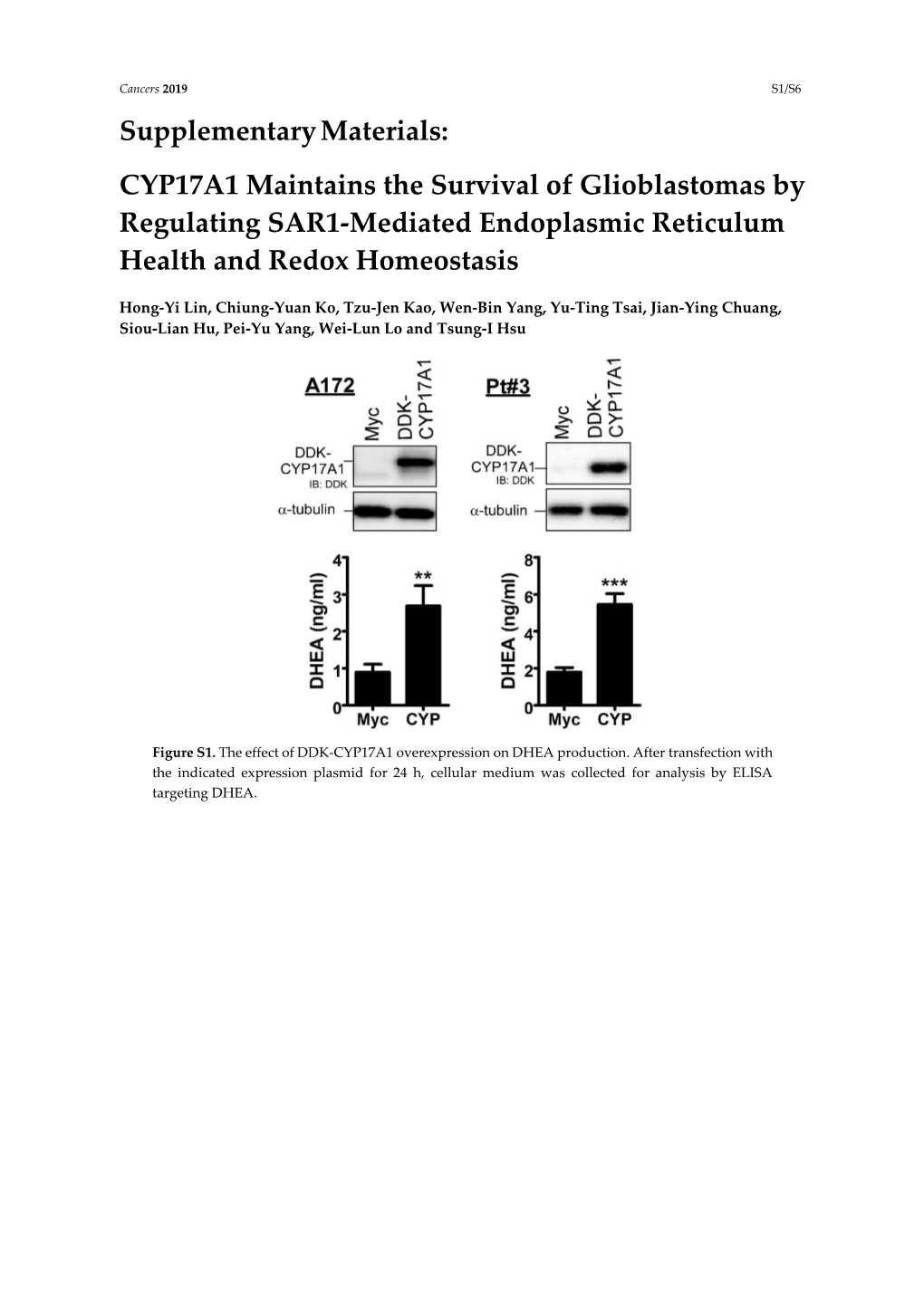 CYP17A1 Maintains the Survival of Glioblastomas by Regulating SAR1-Mediated Endoplasmic Reticulum Health and Redox Homeostasis