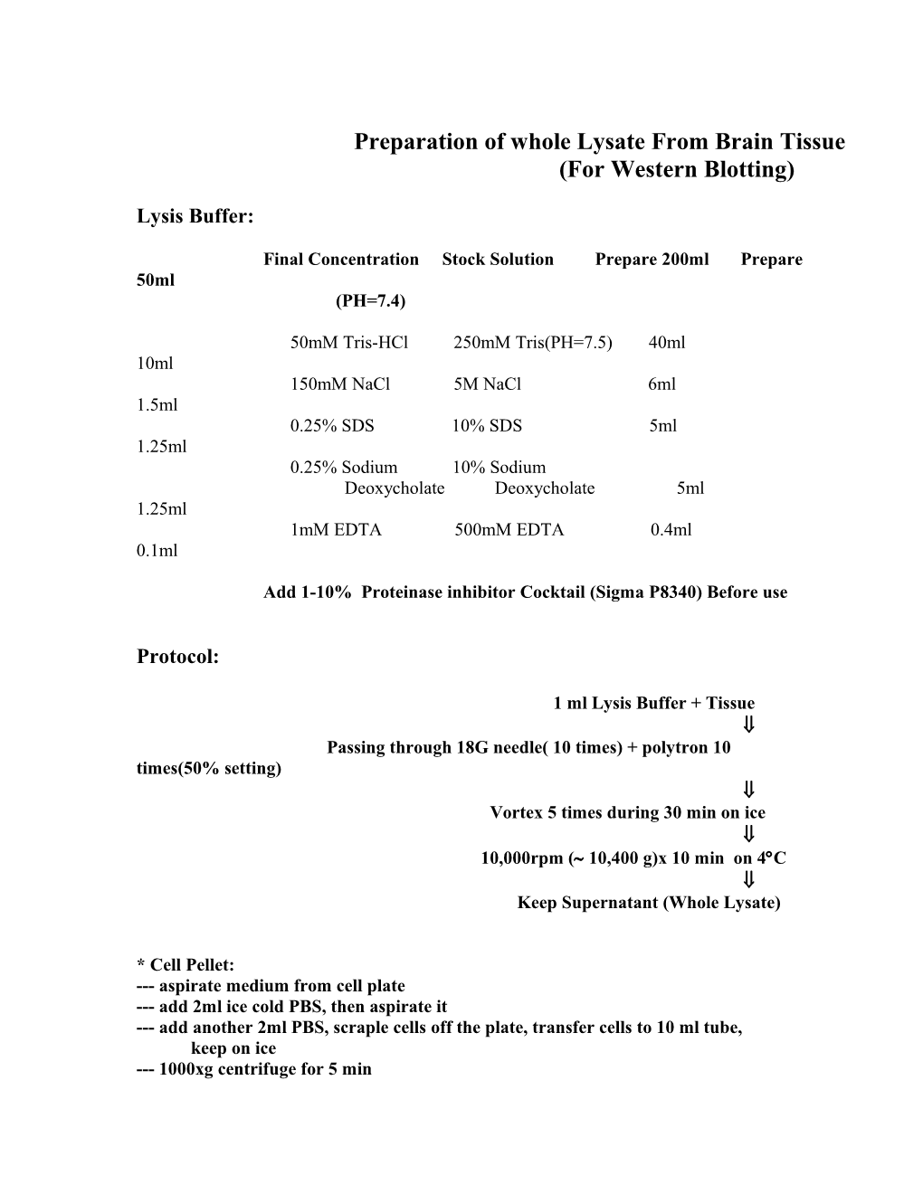 Preparation Of Whole Lysate From Brain Tissue