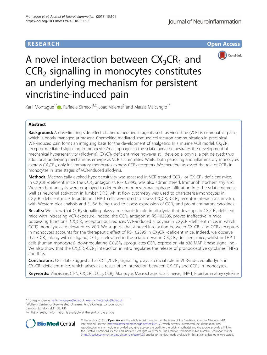 A Novel Interaction Between CX3CR1 and CCR2 Signalling in Monocytes