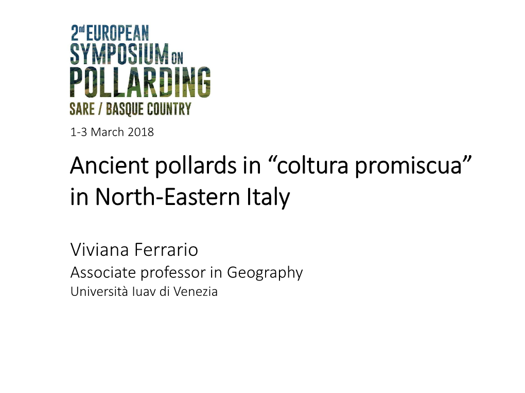 Ancient Pollards in “Coltura Promiscua” in North-Eastern Italy