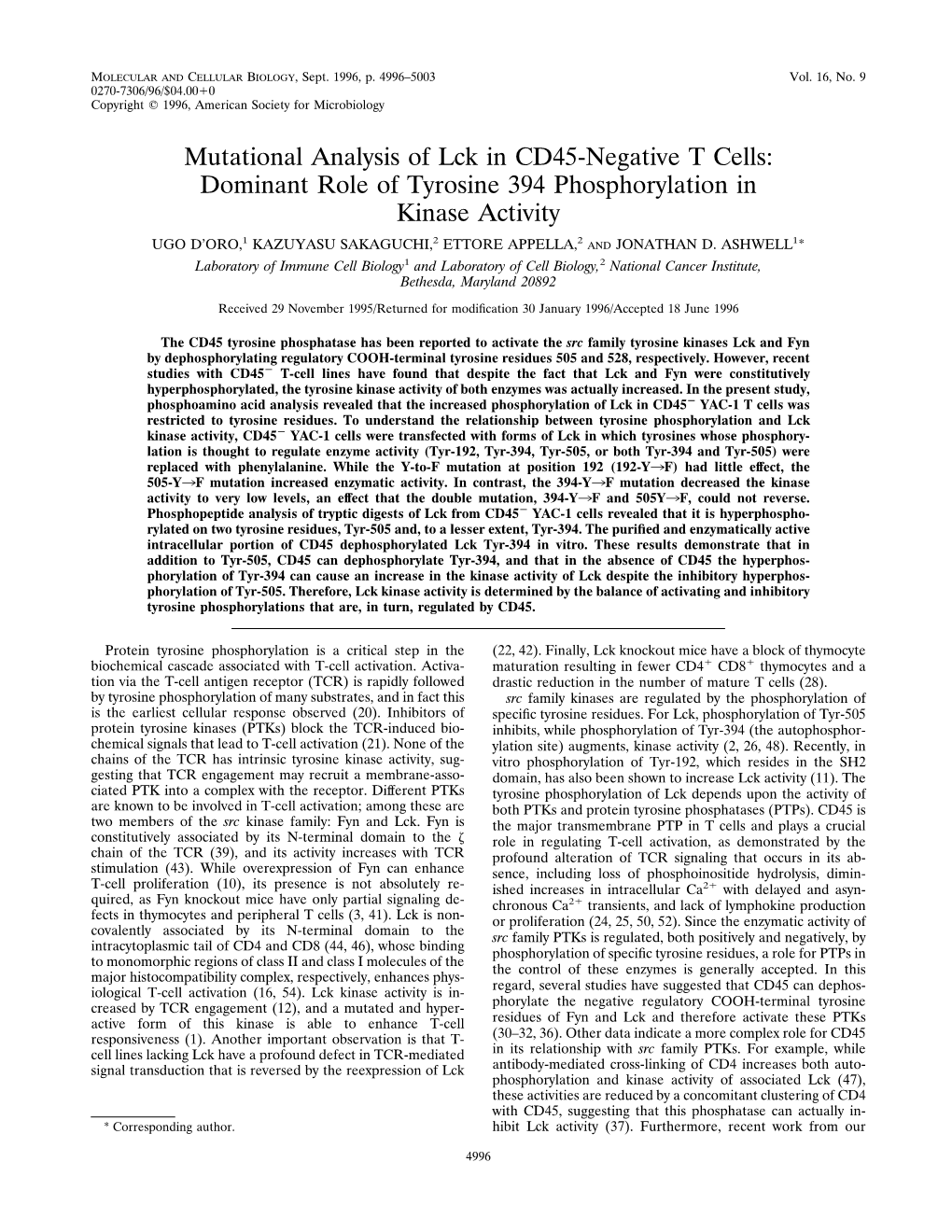 Dominant Role of Tyrosine 394 Phosphorylation in Kinase Activity