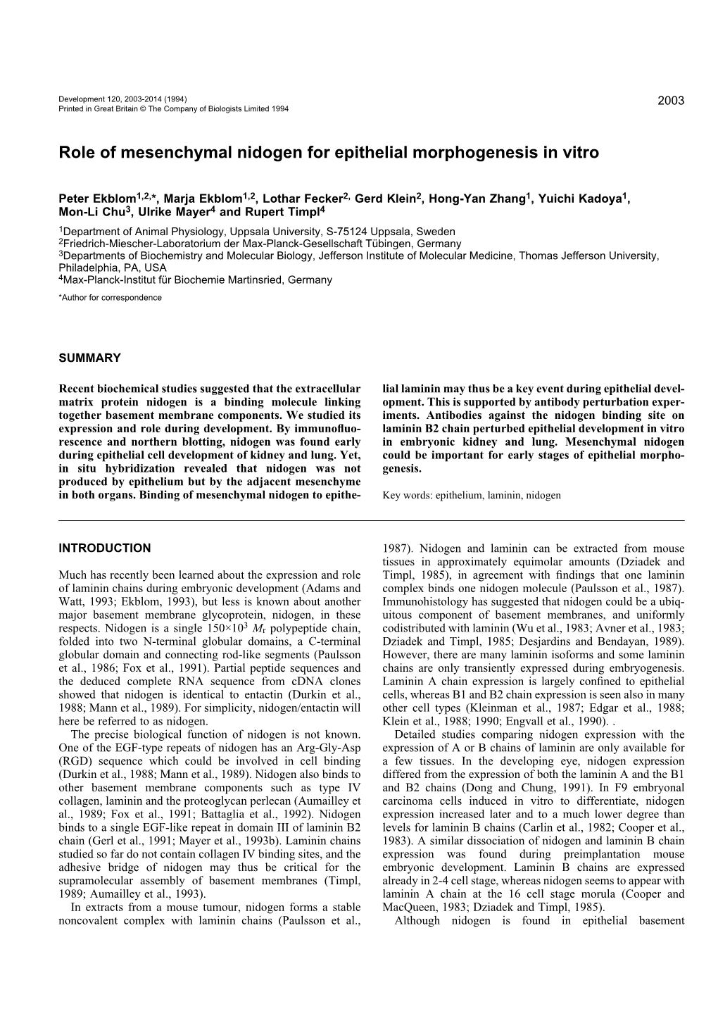 Role of Mesenchymal Nidogen for Epithelial Morphogenesis in Vitro