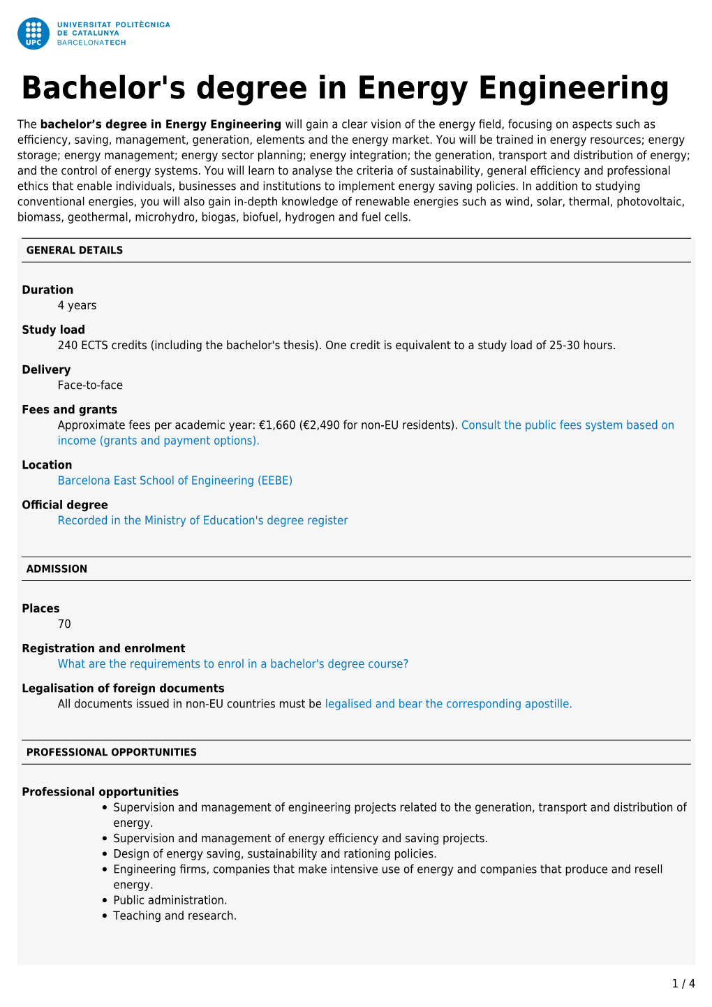 Bachelor's Degree in Energy Engineering