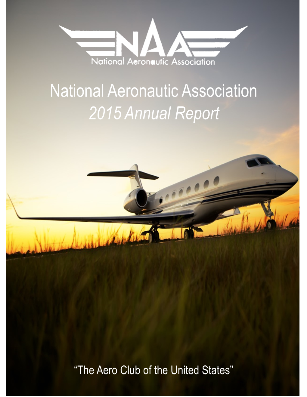 National Aeronautic Association 2015 Annual Report