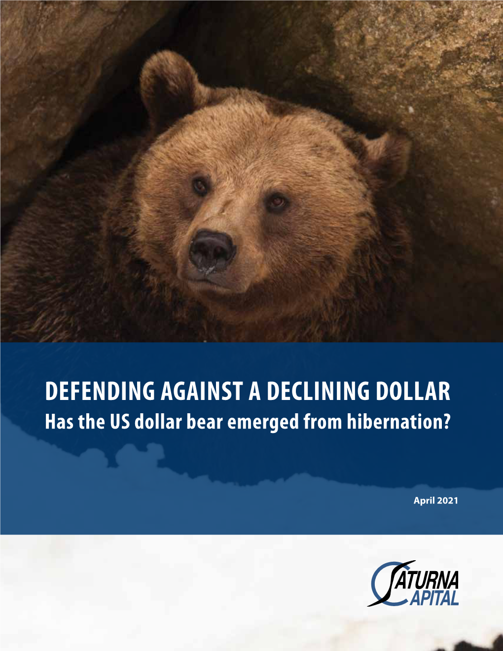 DEFENDING AGAINST a DECLINING DOLLAR Has the US Dollar Bear Emerged from Hibernation?