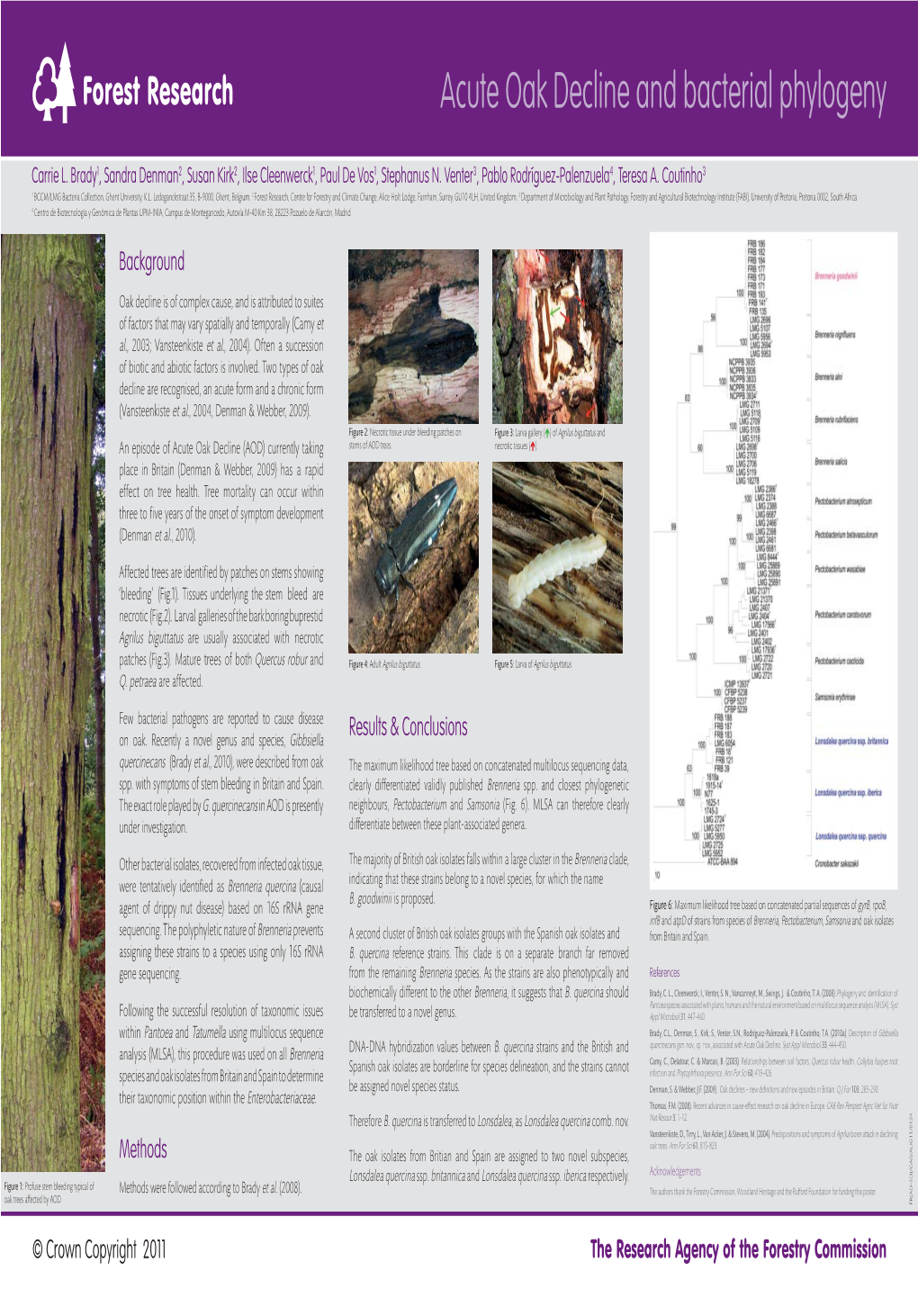 Acute Oak Decline and Bacterial Phylogeny