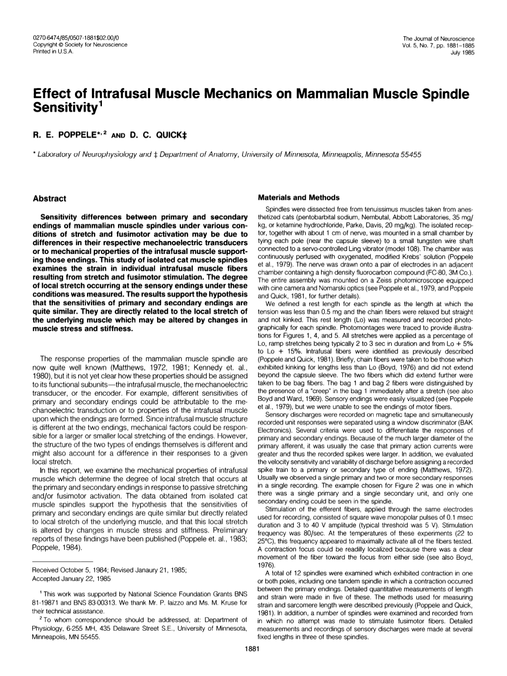 Effect of Lntrafusal Muscle Mechanics on Mammalian Muscle Spindle Sensitivity’