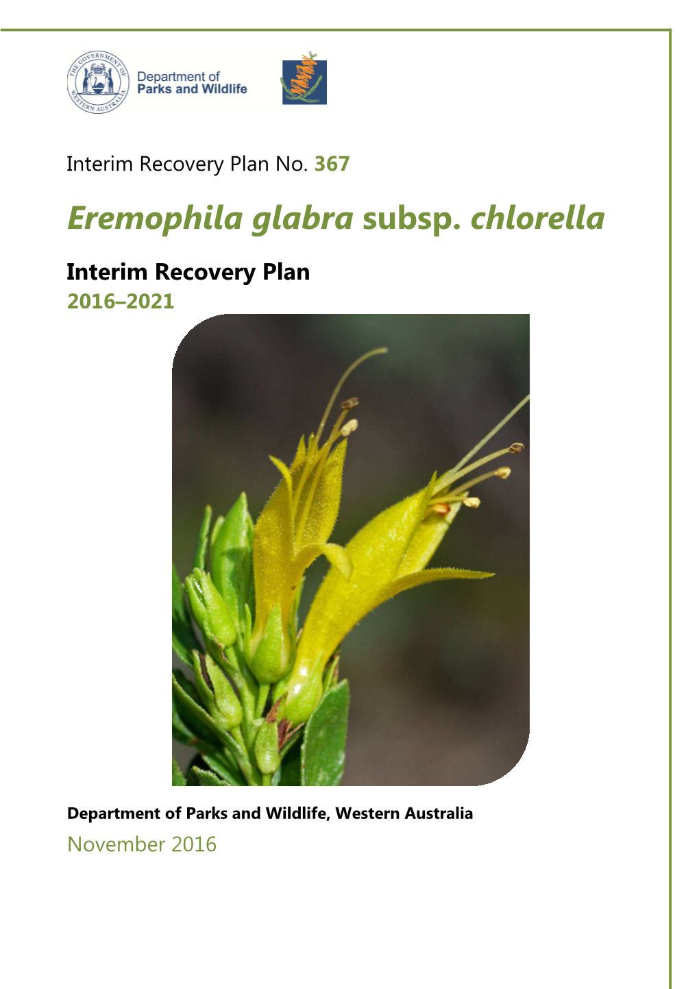 Eremophila Glabra Subsp. Chlorella IRP367 2016 2021 Web Version
