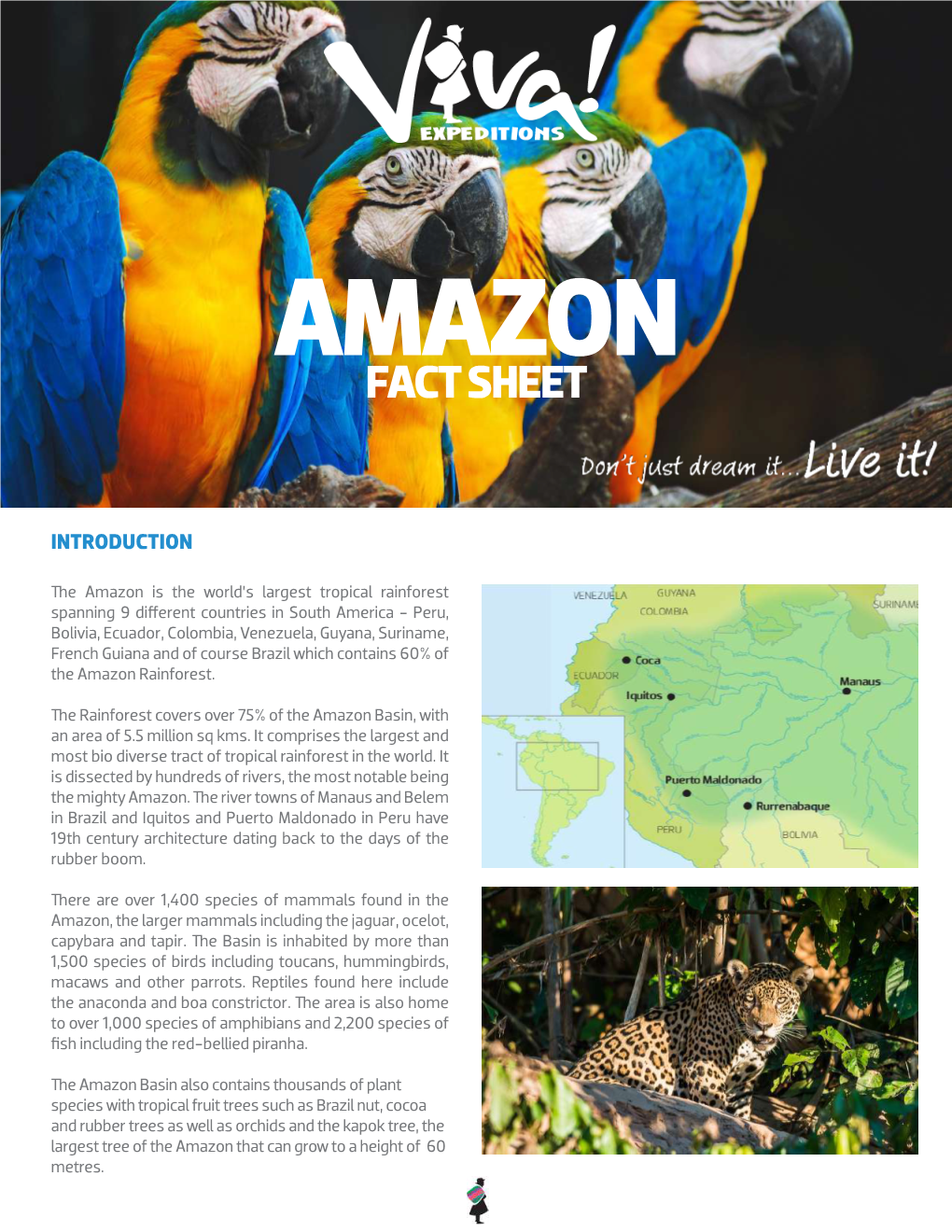 Amazon Fact Sheet Amazon Fact Sheet