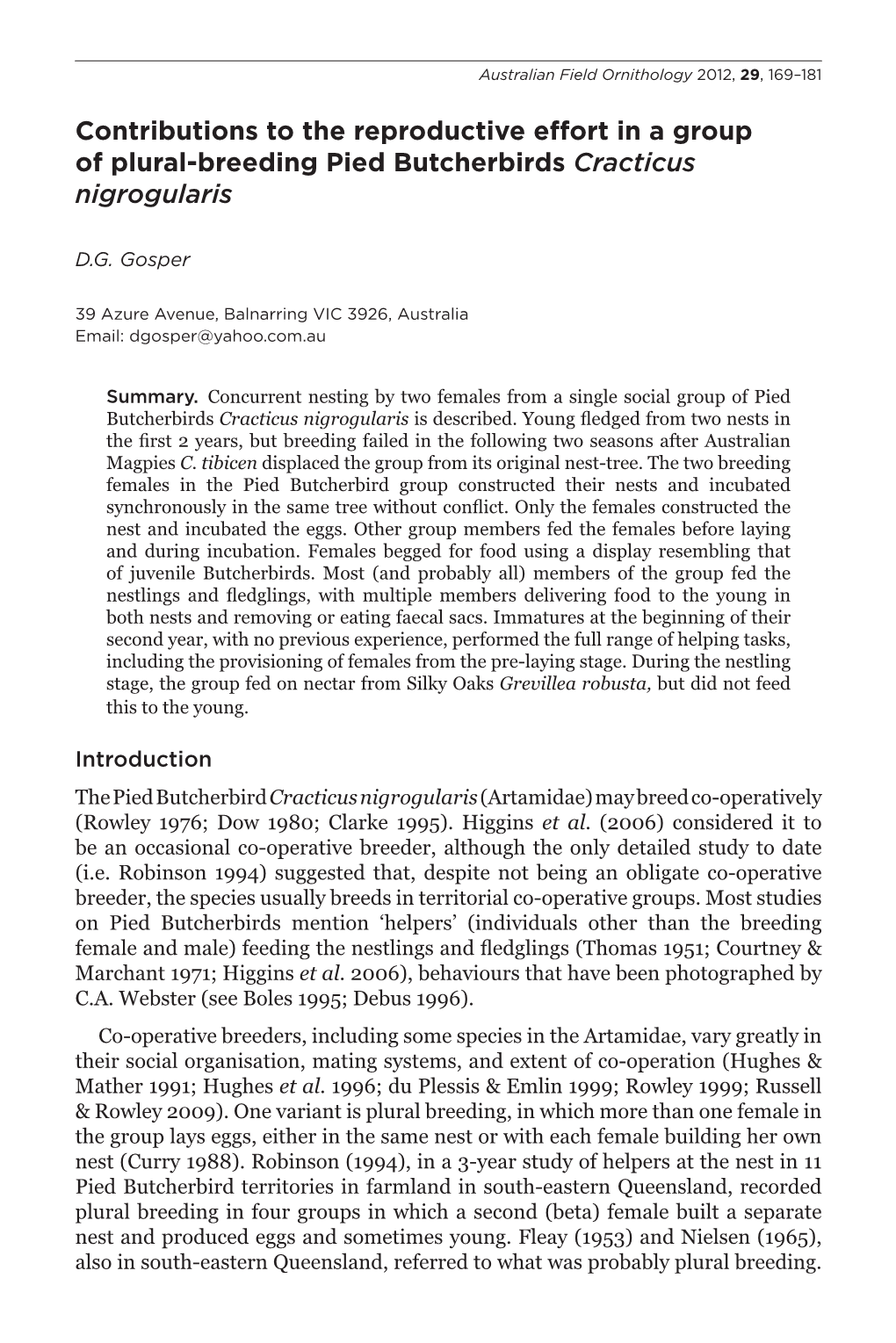 Contributions to the Reproductive Effort in a Group of Plural-Breeding Pied Butcherbirds Cracticus Nigrogularis