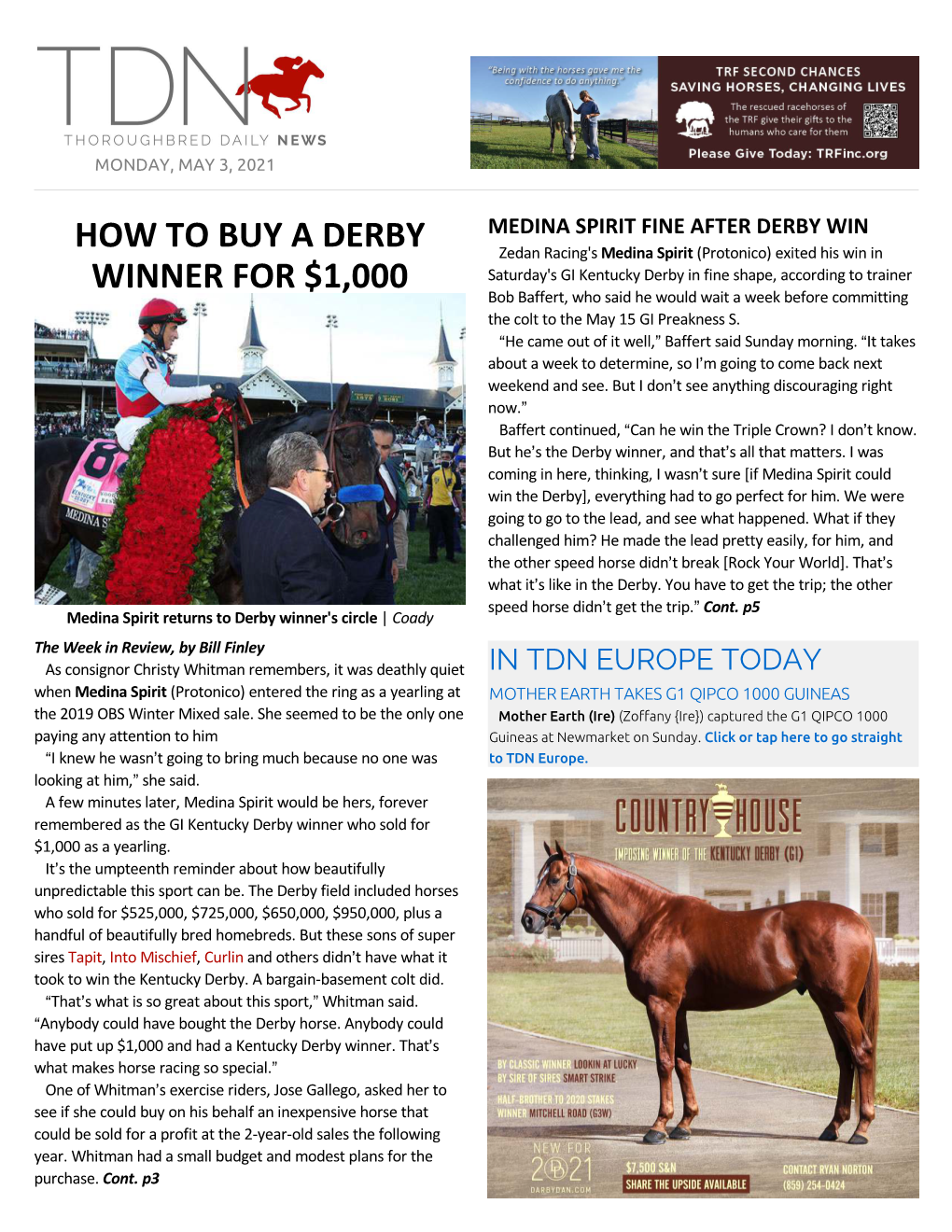 How to Buy a Derby Winner for $1,000