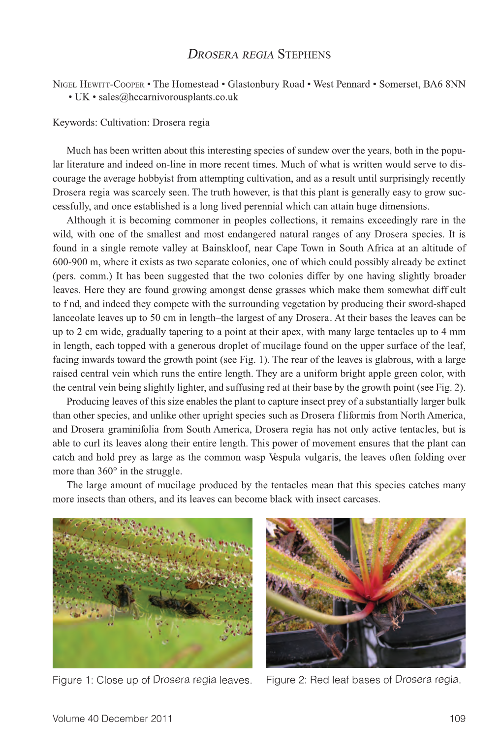 Carnivorous Plant Newsletter V41 N3 September 2012