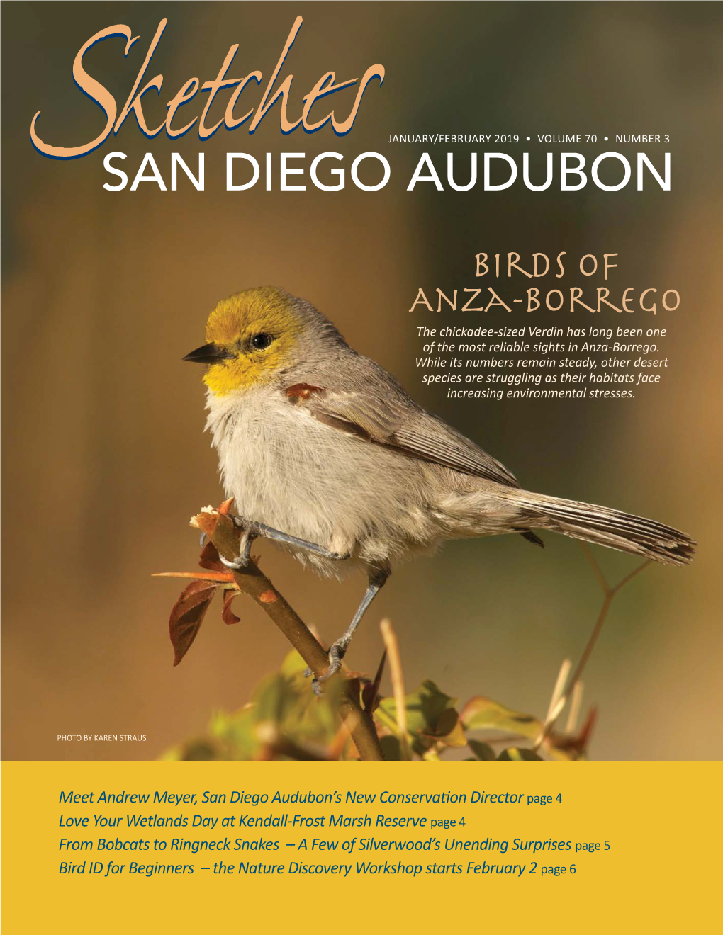 Birds of Anza-Borrego the Chickadee-Sized Verdin Has Long Been One of the Most Reliable Sights in Anza-Borrego