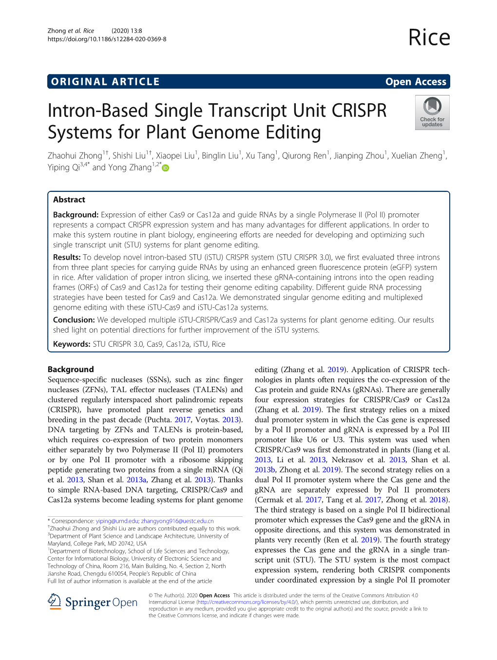Intron-Based Single Transcript Unit CRISPR Systems for Plant Genome