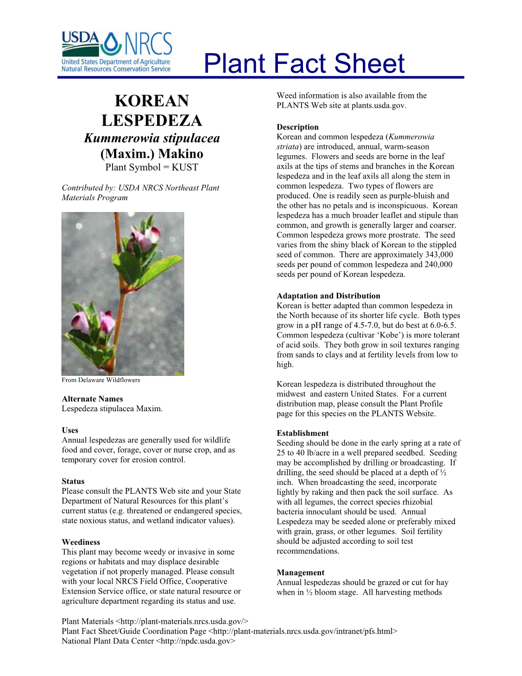 Korean Lespedeza and in the Leaf Axils All Along the Stem in Contributed By: USDA NRCS Northeast Plant Common Lespedeza