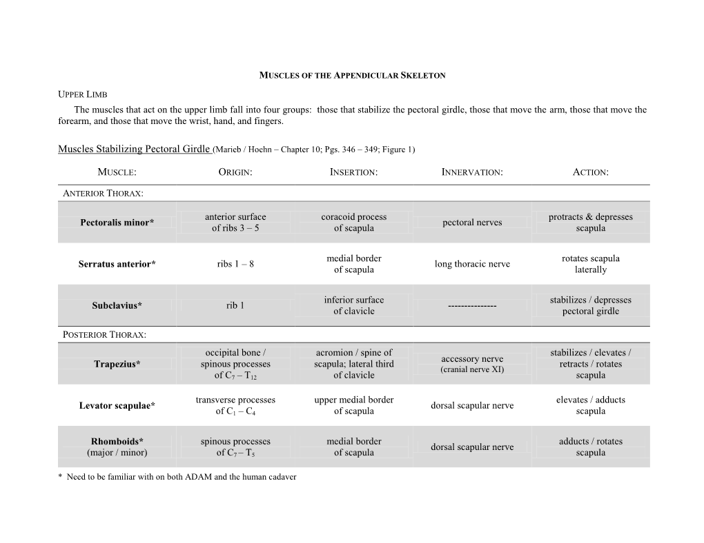 The Muscles That Act on the Upper Limb Fall Into Four Groups