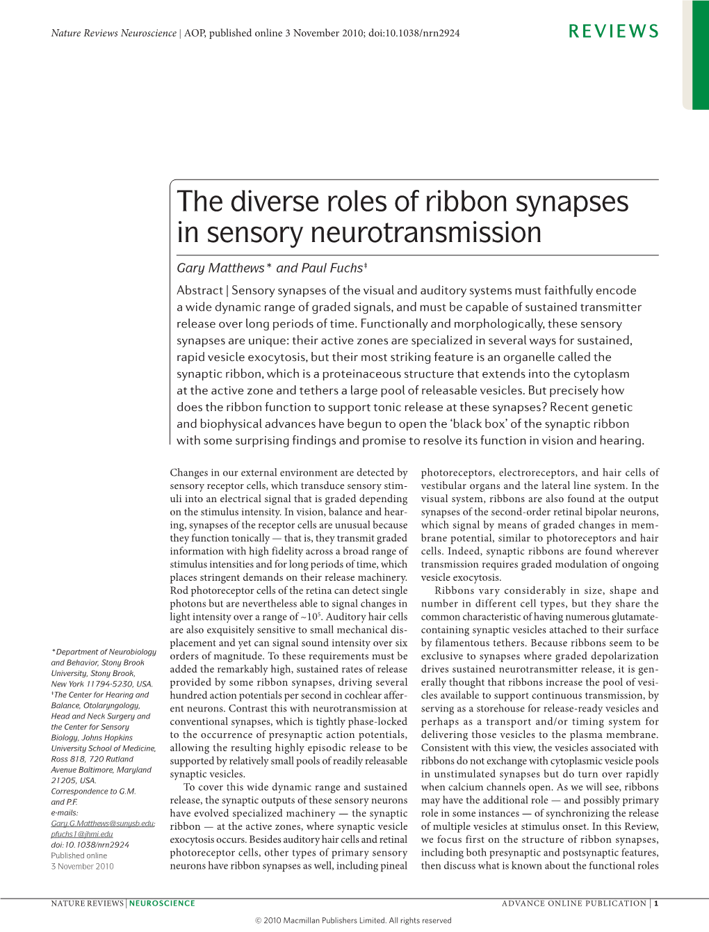 The Diverse Roles of Ribbon Synapses in Sensory Neurotransmission