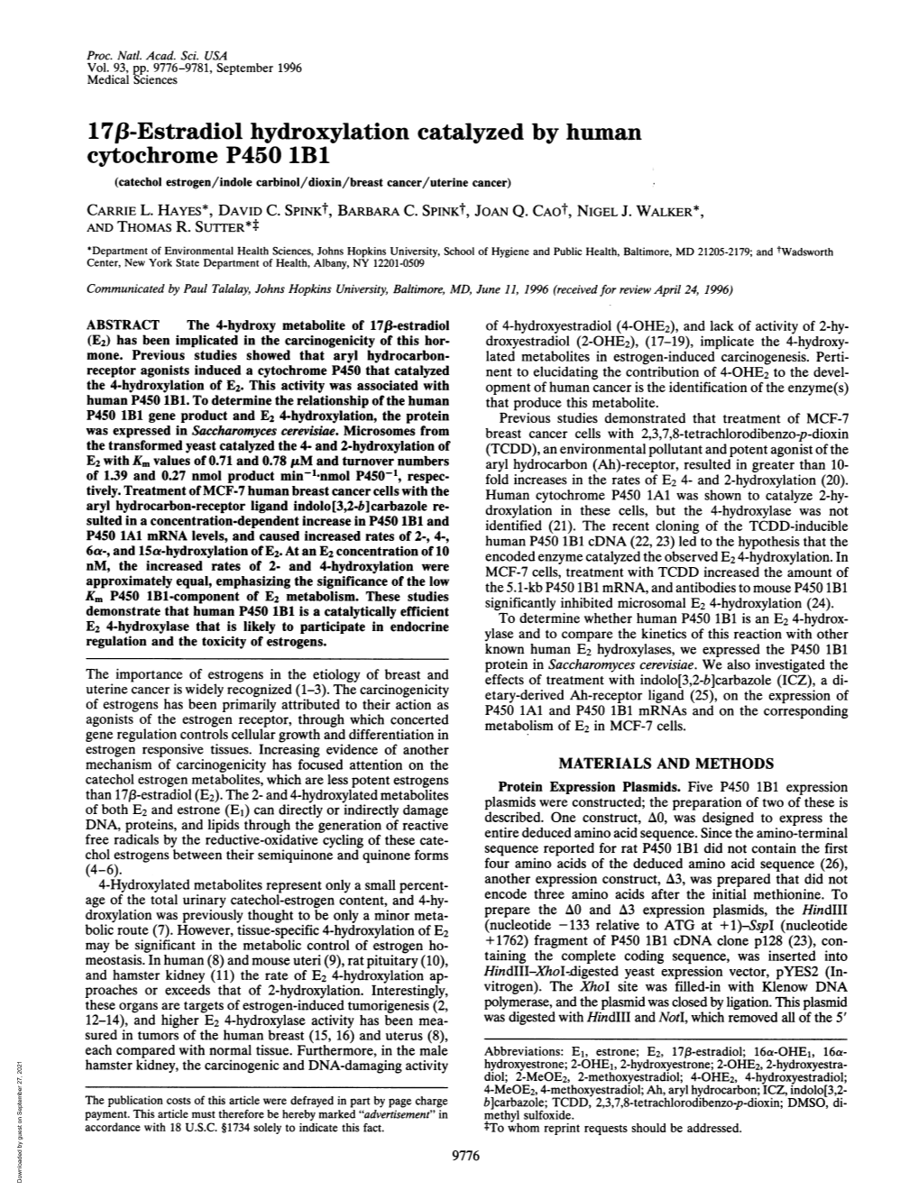 17F8-Estradiol Hydroxylation Catalyzed by Human Cytochrome P450 Lbl (Catechol Estrogen/Indole Carbinol/Dioxin/Breast Cancer/Uterine Cancer) CARRIE L