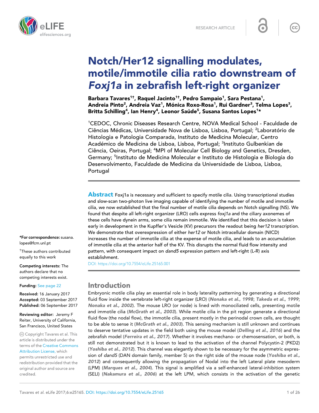 Notch/Her12 Signalling Modulates, Motile/Immotile Cilia Ratio