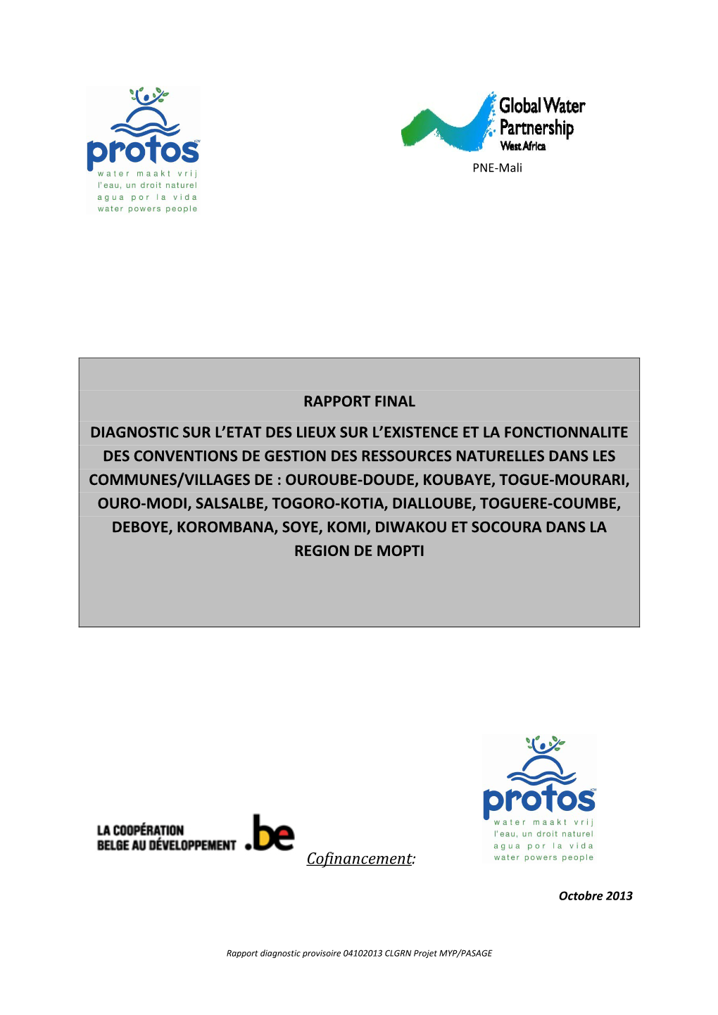 Rapport Final Diagnostic Sur L'etat Des Lieux Sur L