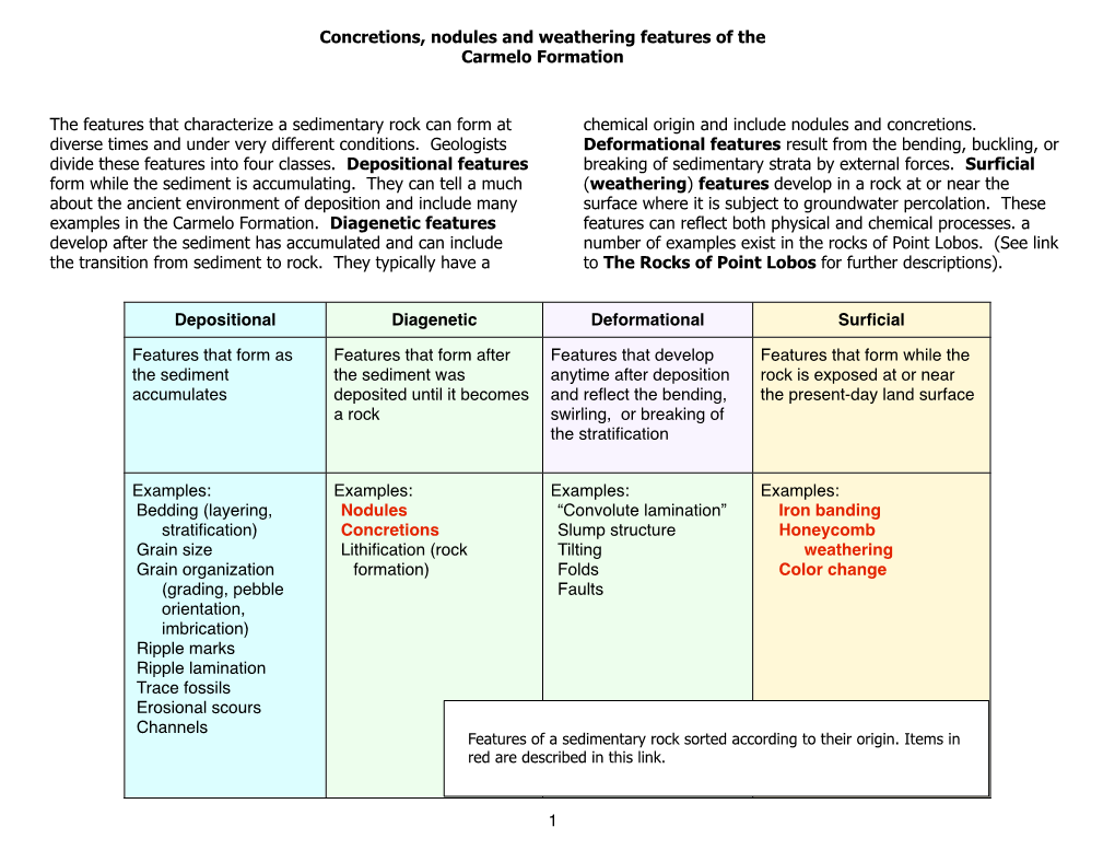 Concretions, Nodules and Weathering Features of the Carmelo Formation