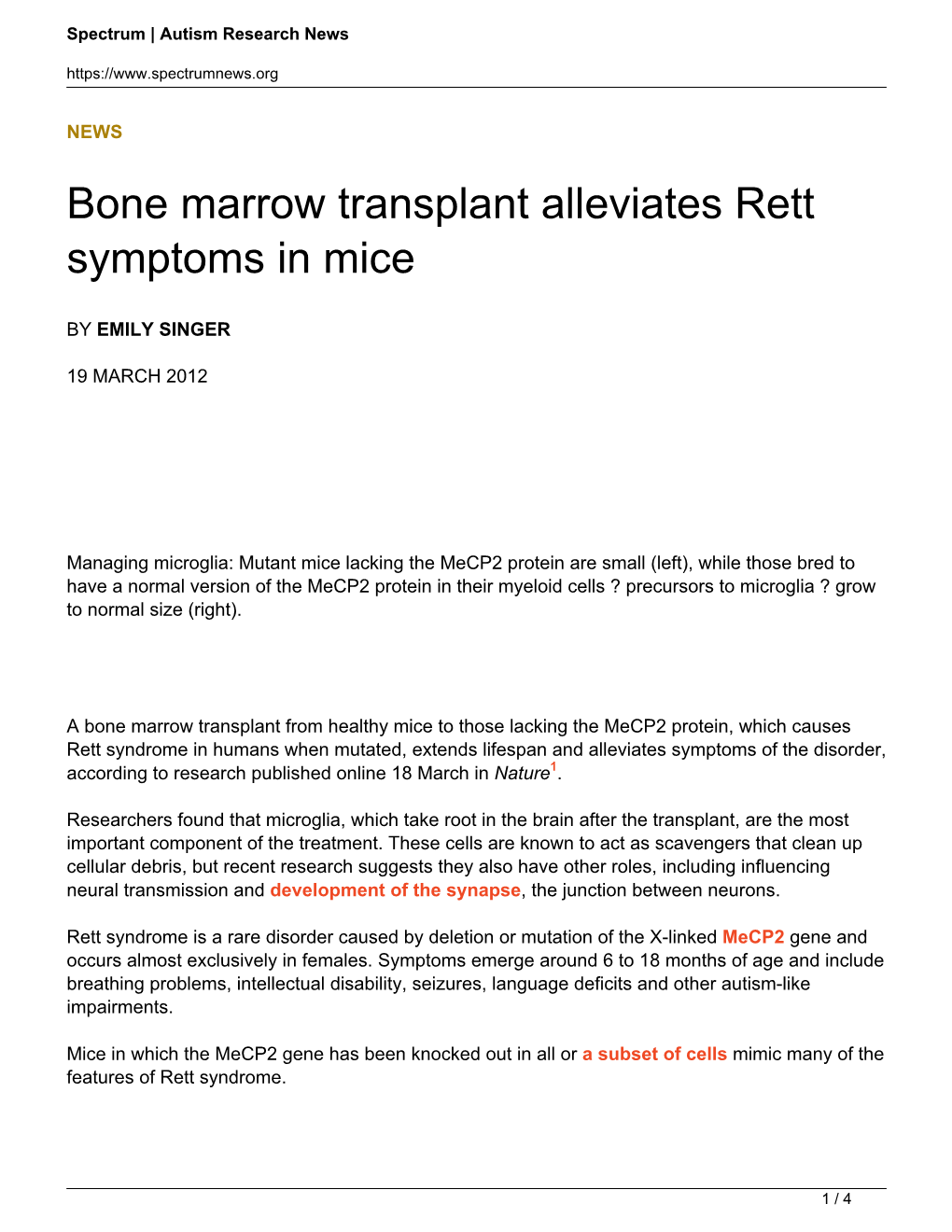 Bone Marrow Transplant Alleviates Rett Symptoms in Mice