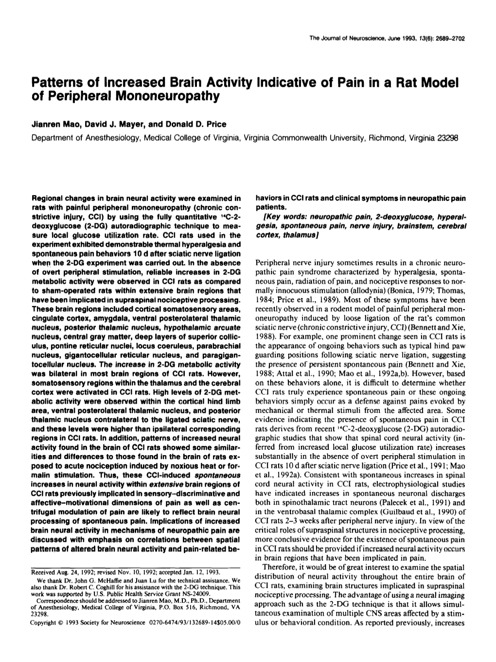 Patterns of Increased Brain Activity Indicative of Pain in a Rat Model of Peripheral Mononeuropathy