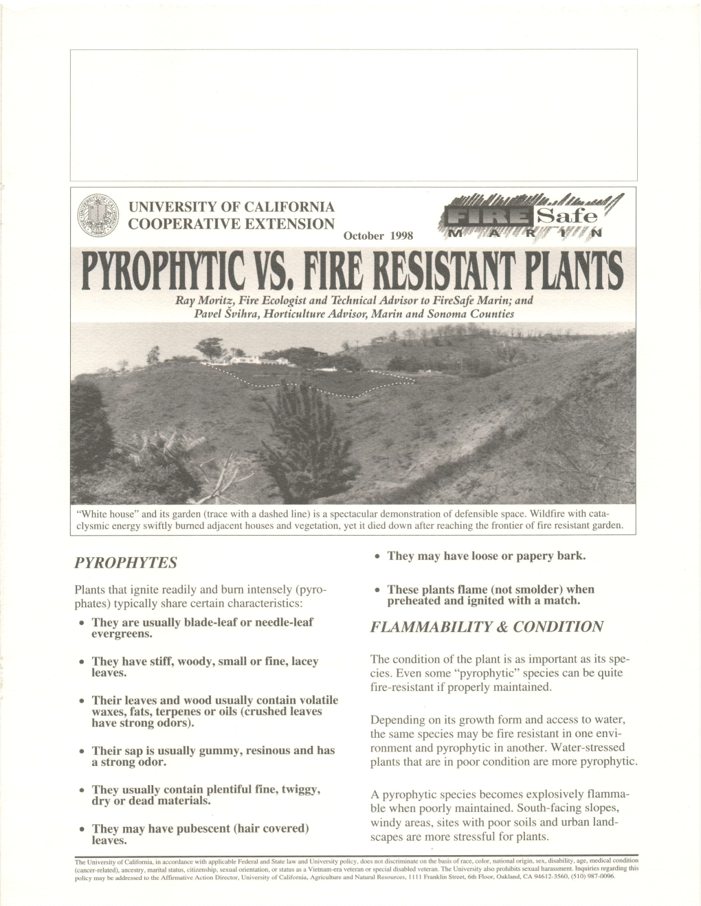 Pyrophytic Plants Vs. Fire Resistant Plants!