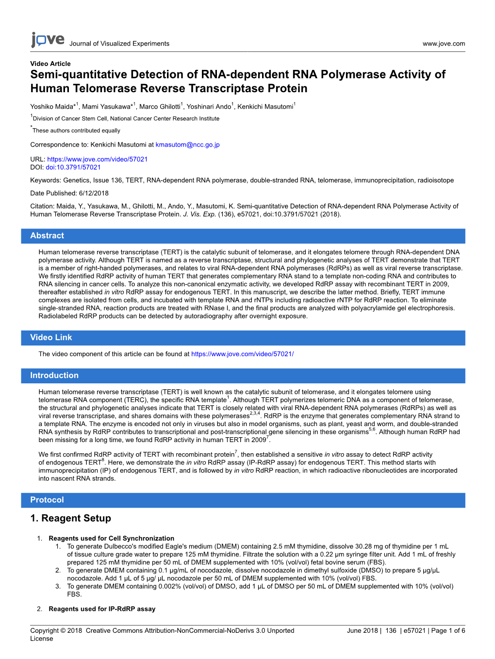 Semi-Quantitative Detection of RNA-Dependent RNA Polymerase Activity of Human Telomerase Reverse Transcriptase Protein