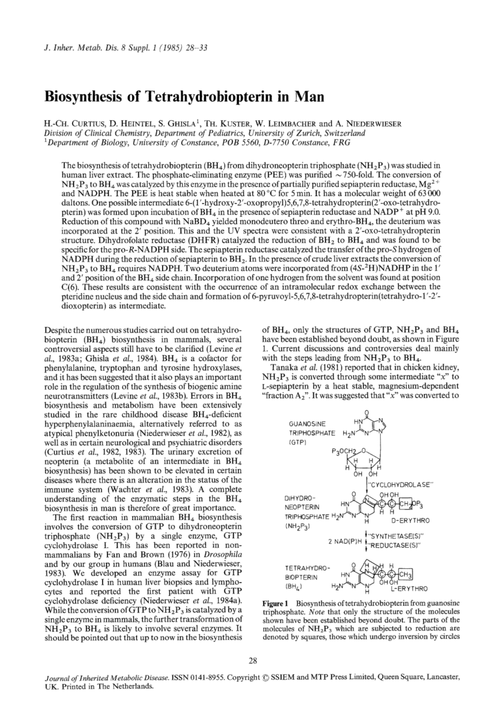 Biosynthesis of Tetrahydrobiopterin in Man
