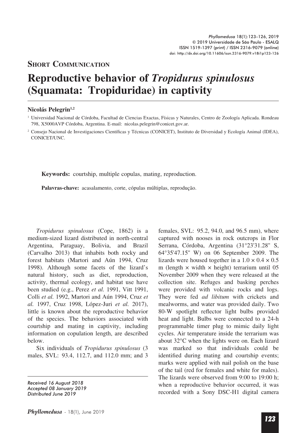 Reproductive Behavior of Tropidurus Spinulosus (Squamata: Tropiduridae) in Captivity